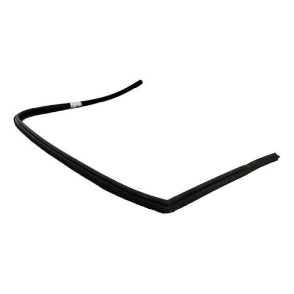 Borracha Guarnição Porta Voyage G5 Traseira Direita 2009