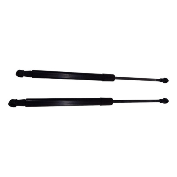 Amortecedor Capô Bmw 318i 320i 2012 Par