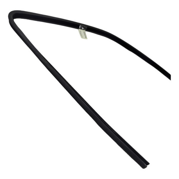 Borracha Porta Citroen Xsara Picasso Dianteira Direita 2005 Preto