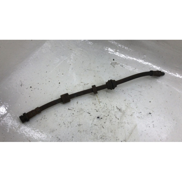 Flexivel Dianteiro Esquerdo Ford Focus 1.6 2005