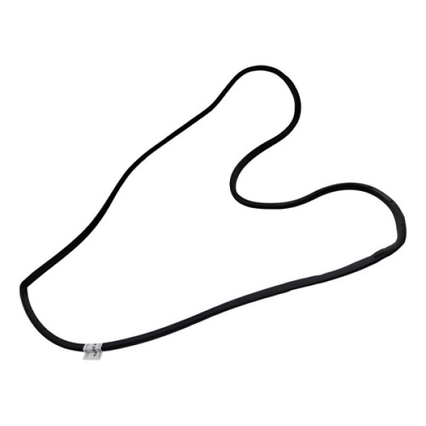 Borracha Vedação Porta Tracker Traseira Esquerda 2004 Preto