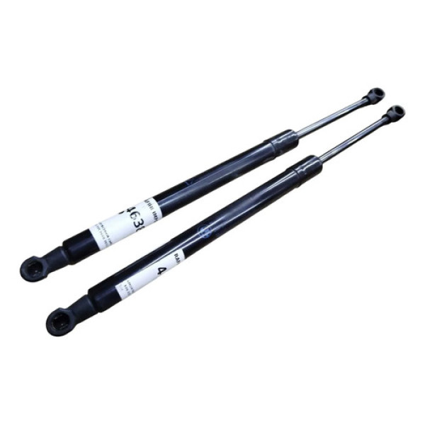 Amortecedor Capô Bmw 318i 320 335 2010 2011 2012 Par