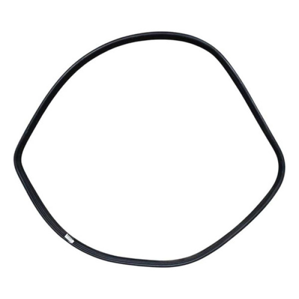 Borracha Carroceria Porta Traseira Esquerda Megane 2008