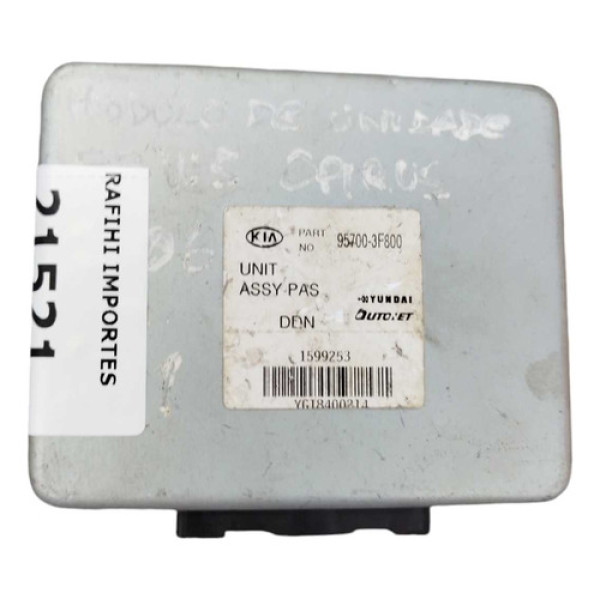 Modulo Conforto Kia Opirus 2008 