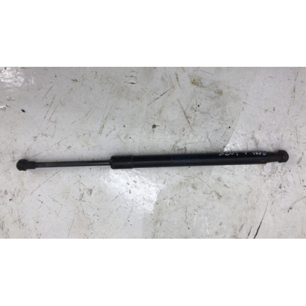 Amortecedor Tampa Traseira Bmw 320i 2010 51247250308