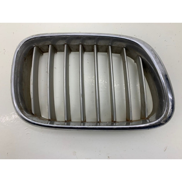Grade Dianteira Lado Esquerdo Bmw X5 2006